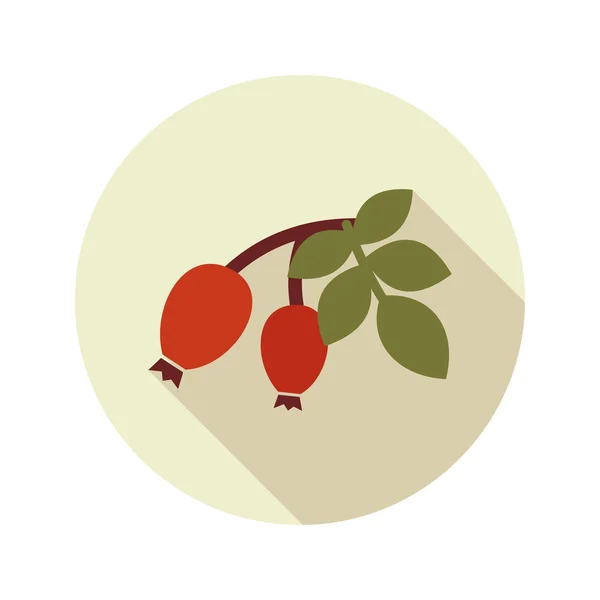 Nypon gren med röda bär platt ikonen — Stock vektor