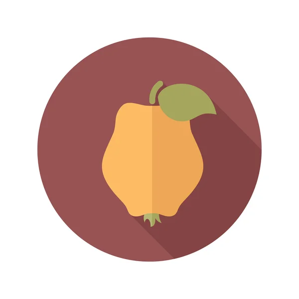 Quince flat icon. Tropical fruit — Stock Vector