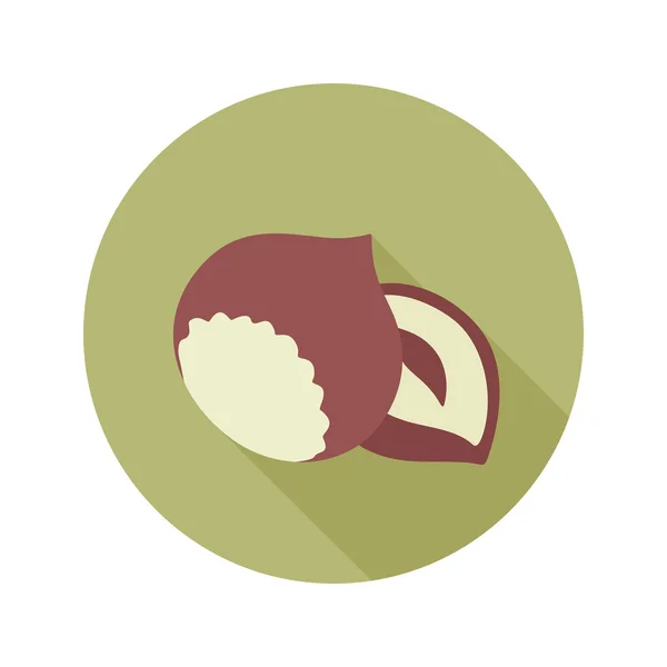 Ореховая плоская икона. Плоды — стоковый вектор