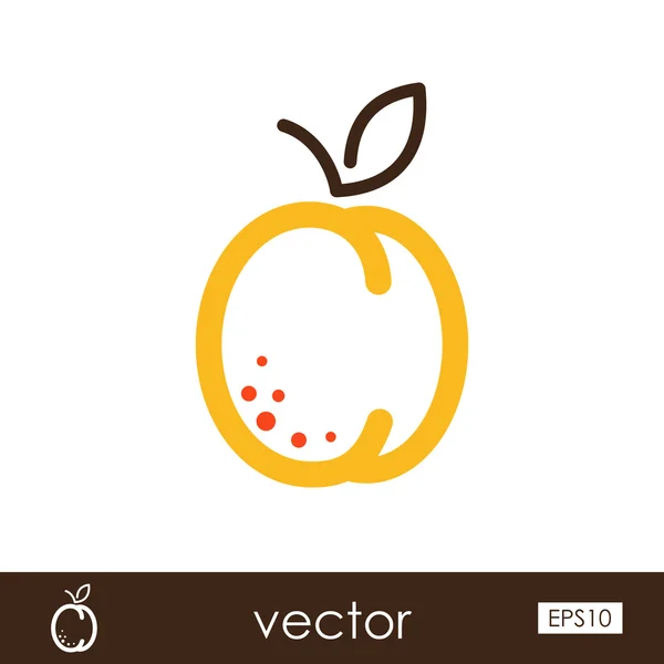 Apricot outline icon. Fruit — Stock Vector