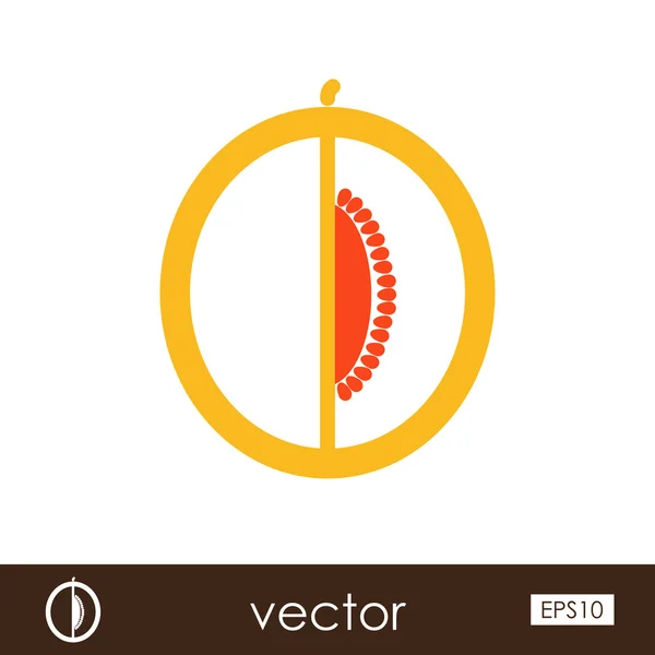 Icono del contorno del melón. Fruta. — Vector de stock