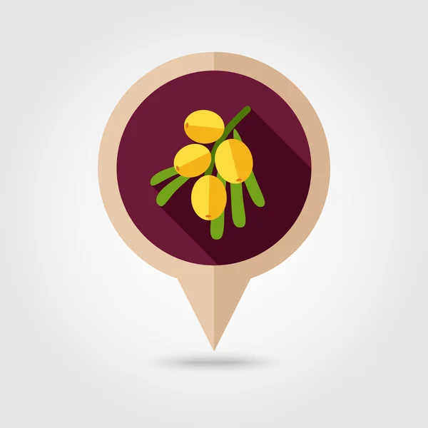Ramo de mar-buckthorn bagas pin mapa ícone —  Vetores de Stock