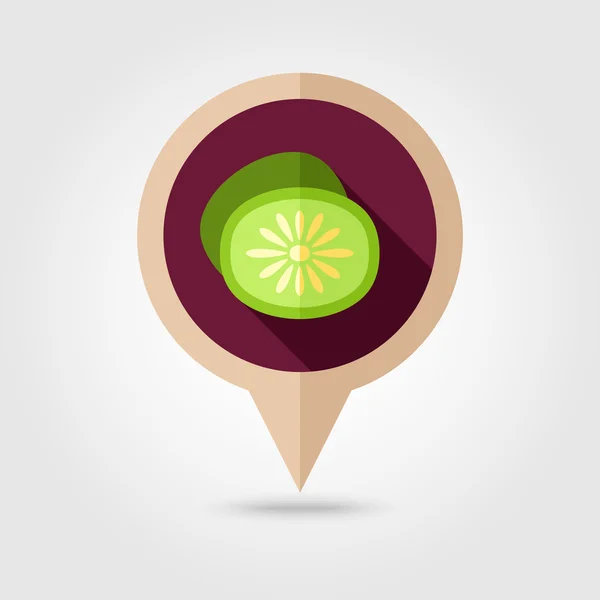 Kiwi platt karta nålikonen. Tropisk frukt — Stock vektor