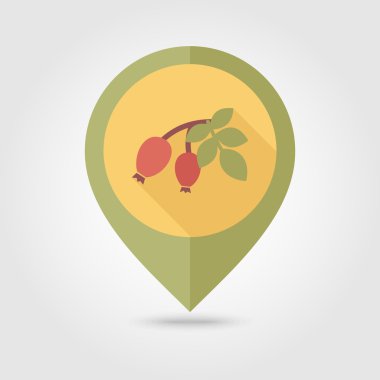 Kırmızı meyveler kuşburnu şube düz PIN harita simgesi