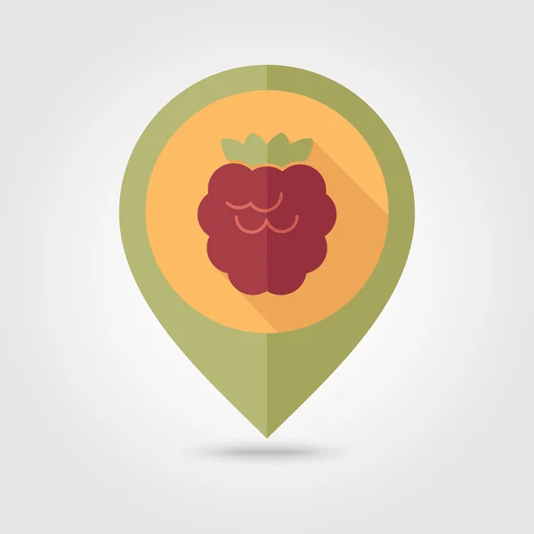 Raspberry flat pin map icon. Berry fruit — Stock Vector