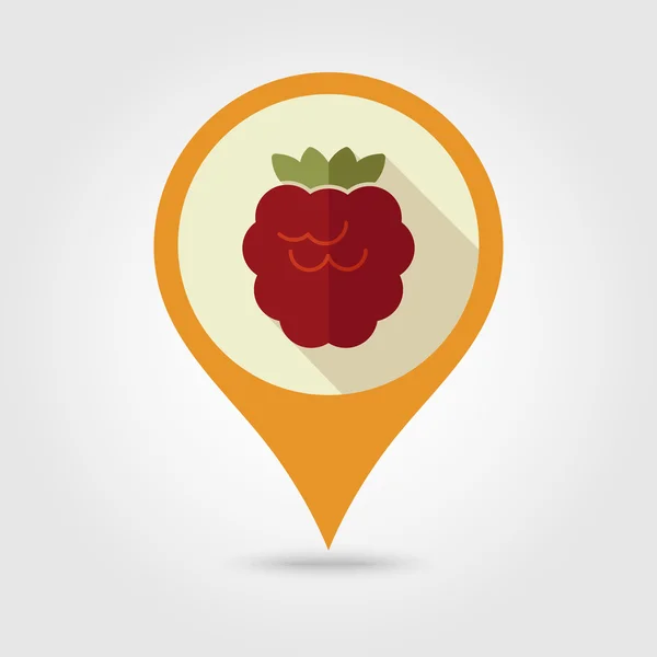 Himbeere flache Pin-Map-Symbol. Beerenobst — Stockvektor