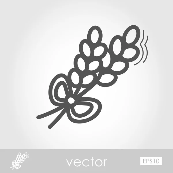 Épillets icône de contour de blé. Récolte Thanksgiving — Image vectorielle