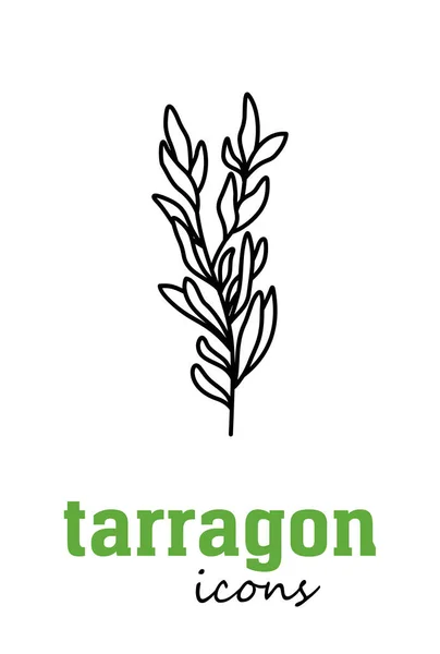 Εικονίδιο Διανύσματος Tarragon Πράσινα Φύλλα Λαχανικών Πράσινο Μαγειρικό Βότανο Μπαχαρικό — Διανυσματικό Αρχείο