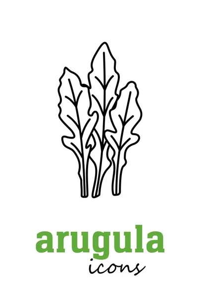 Εικονίδιο Διανύσματος Arugula Πράσινα Φύλλα Λαχανικών Πράσινο Μαγειρικό Βότανο Μπαχαρικό — Διανυσματικό Αρχείο