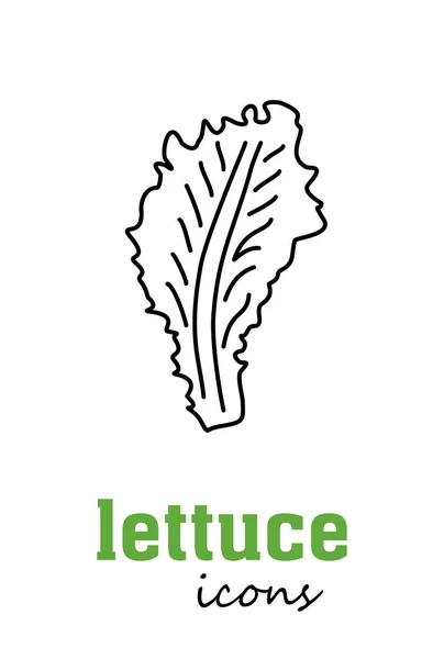 Εικονίδιο Φορέα Lettuce Πράσινα Φύλλα Λαχανικών Πράσινο Μαγειρικό Βότανο Μπαχαρικό — Διανυσματικό Αρχείο