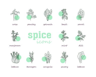 Greenery vector icon. Vegetable green leaves. Culinary herb spice for cooking, medical, gardening design. Organic product flavor ingredient for label, sign, illustration clipart