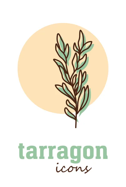 Εικονίδιο Διανύσματος Tarragon Πράσινα Φύλλα Λαχανικών Πράσινο Μαγειρικό Βότανο Μπαχαρικό — Διανυσματικό Αρχείο