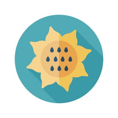 Uzun gölge ile ayçiçeği düz simgesi