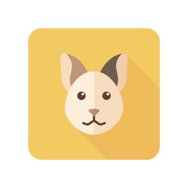 Uzun gölge ile kedi düz simgesi