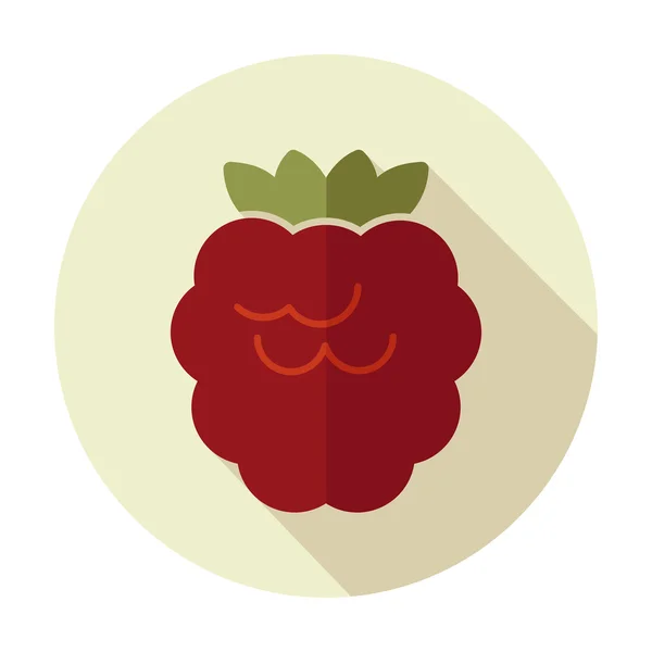 Raspberry flat icon with long shadow — Stock Vector