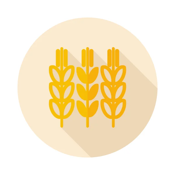 Колоски пшеничної плоскої ікони з довгою тінь — стоковий вектор