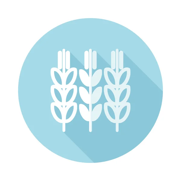 Spikelets van tarwe platte pictogram met lange schaduw — Stockvector