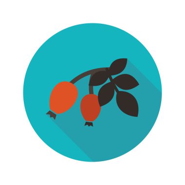 Kırmızı meyveler kuşburnu şube düz simgesi