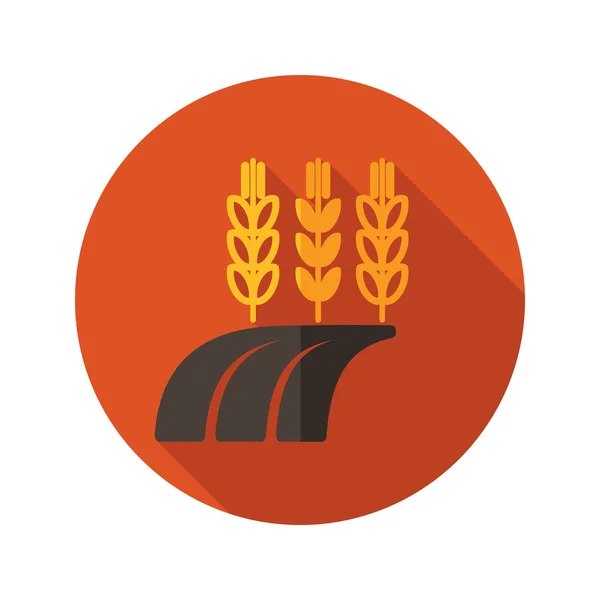 フィールド フラット アイコンで小麦、大麦やライ麦の耳 — ストックベクタ