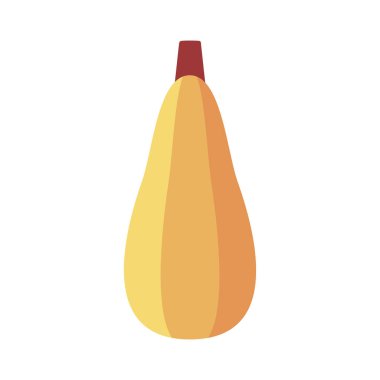 Kabak yalıtılmış vektör ikonu. Sebze işareti. Gıda ve içecek web sitesi için grafik sembolü, uygulama tasarımı, mobil uygulamalar ve yazdırma ortamı, logo, UI