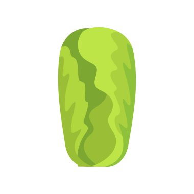 Çin lahanası izole vektör ikonu. Sebze işareti. Gıda ve içecek web sitesi için grafik sembolü, uygulama tasarımı, mobil uygulamalar ve yazdırma ortamı, logo, UI