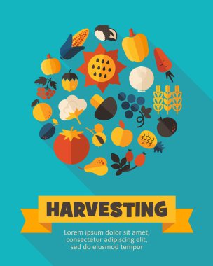 Hasat meyve ve sebze poster