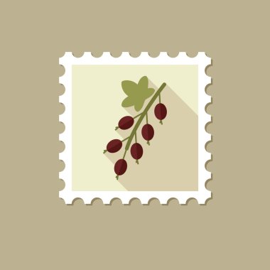 Frenk üzümü uzun gölge ile düz pul