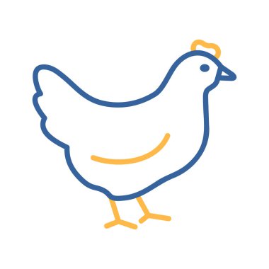 Minimalist, bembeyaz bir tavuk ya da tavuğun tüm vücut düz çizgisi çizimi. Çiftlik, kümes hayvanları, yiyecek ve tarım tasarımları için ideal