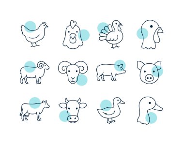 İnekler, domuzlar, koyunlar ve kümes hayvanları da dahil olmak üzere çiftlik hayvanlarının yer aldığı basit sanat simgeleri koleksiyonu, tarım veya kasap dükkanı tasarımı için mükemmel..