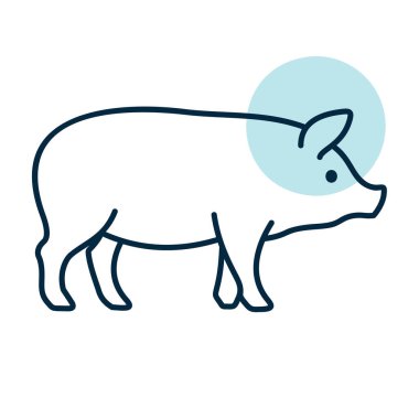 Beyaz bir domuzun minimalist düz çizgi çizimi. Çiftlik, çiftlik hayvanları, et veya tarımsal ürün tasarımları ve simgeler için mükemmel