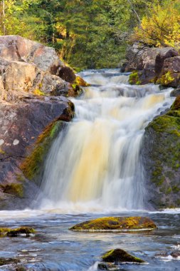 Sonbahar ormanında şelale