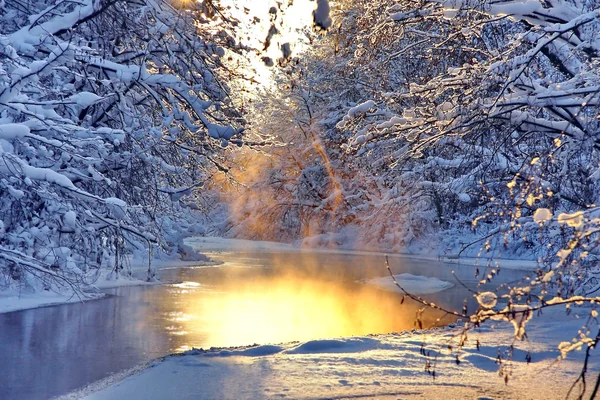 Paesaggio invernale — Foto Stock