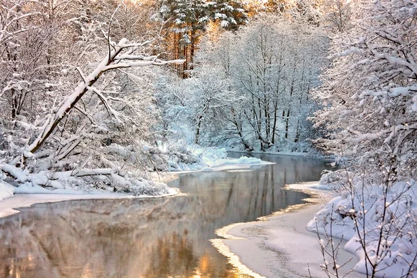 Winter landscape Stock Image