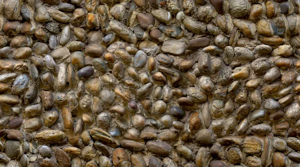 Seamless pebbles in plaster wall texture — Stock Photo, Image