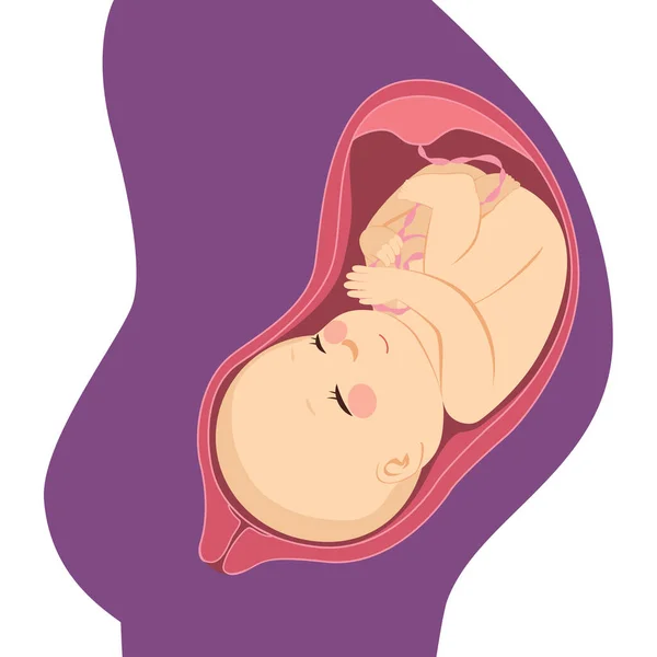 Feto Bebê Nascituro Humano Barriga Mãe Útero — Vetor de Stock