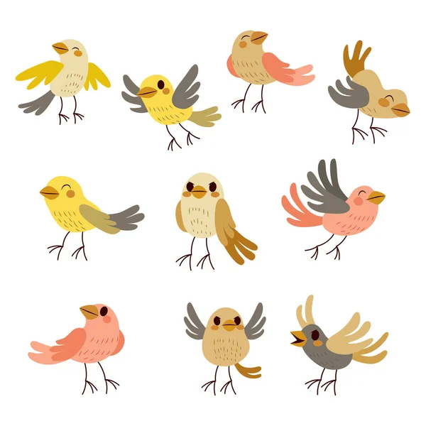 Carino Set Raccolta Nove Uccelli Divertenti Morbidi Colori Pastello Tema — Vettoriale Stock