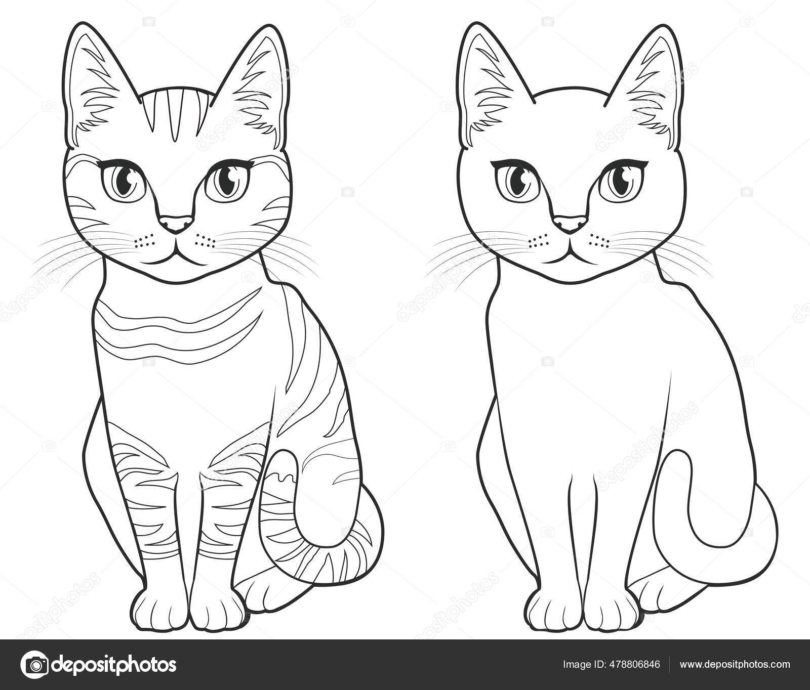 Cabeça de gato bonito realista desenho a preto e branco à mão