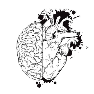 Çizilmiş çizgiyi sanat insan beyin ve kalp halfs ver. Beyaz arka plan vektör illüstrasyon izole grunge kroki mürekkep dövme tasarım