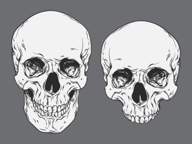 Elle çizilmiş hat sanat anatomik insan kafatasları izole vektör çizim ayarla