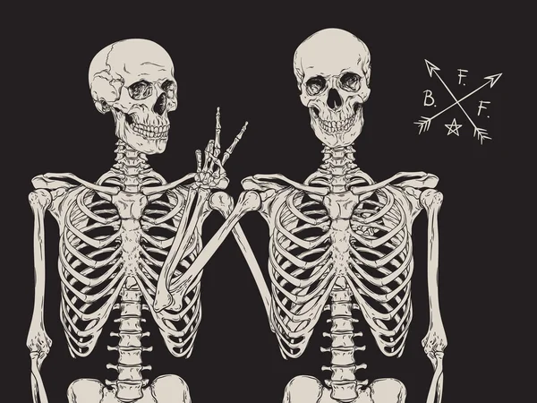 Menschliche Skelette beste Freunde posieren isoliert über schwarzem Hintergrundvektor — Stockvektor
