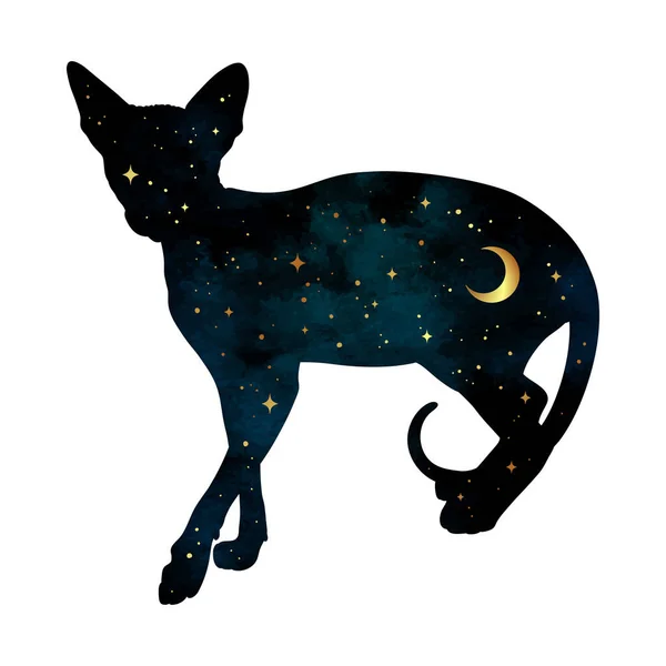 有新月形月亮和孤立恒星的猫的轮廓 印刷品或纹身设计图 异教徒图腾 邪恶熟悉的灵性艺术 — 图库矢量图片