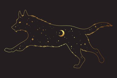 Hilal ay ve yıldızlar izole edilmiş kurt silueti. Etiket, baskı veya dövme tasarımı vektör çizimi. Putperest totem, Wiccan tanıdık ruh sanatı.