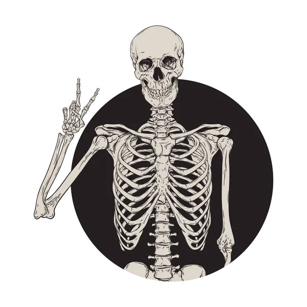 Human Skeleton Posing Isolated Black Background Vector Illustration — Stock Vector