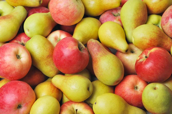 Manzanas y peras — Foto de Stock