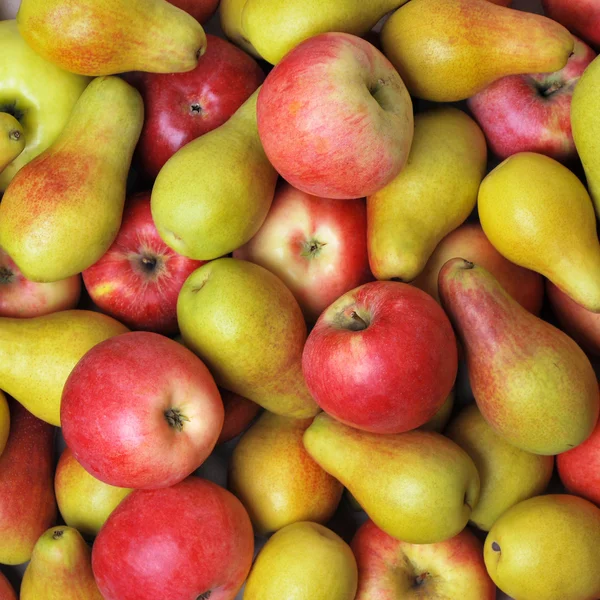 苹果和梨 — 图库照片