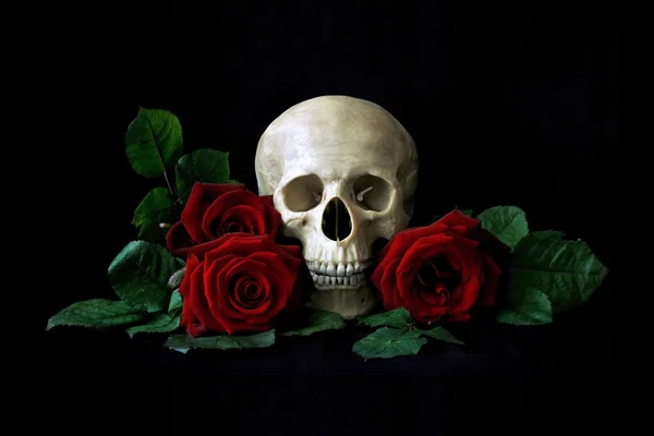 Vanitas. Crânio humano com rosas vermelhas — Fotografia de Stock