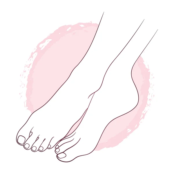 Beaux pieds féminins. Illustration vectorielle de conception de soins du corps — Image vectorielle