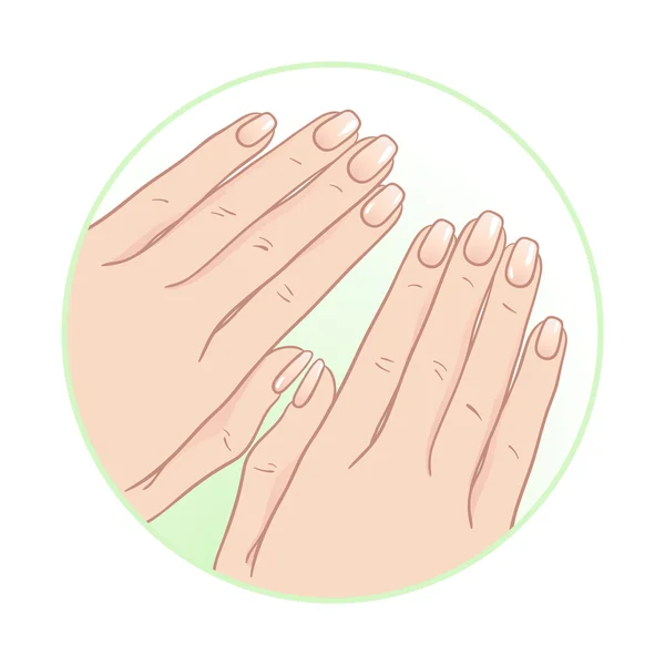 Hermosas manos femeninas y manicura. Icono de cuidado corporal diseño vector ilustración — Vector de stock