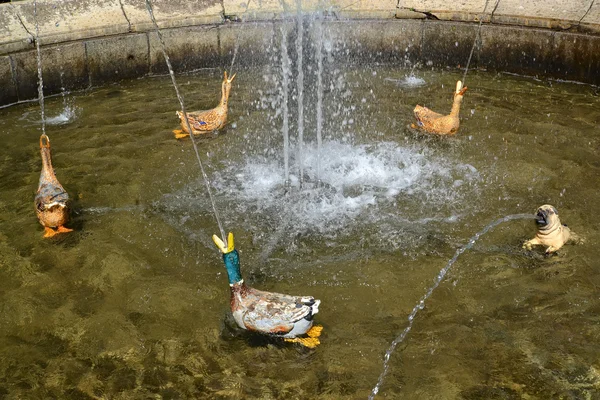 PETERHOF, RUSIA - 24 de julio de 2015: La fuente favorita en el parque Nizhny — Foto de Stock