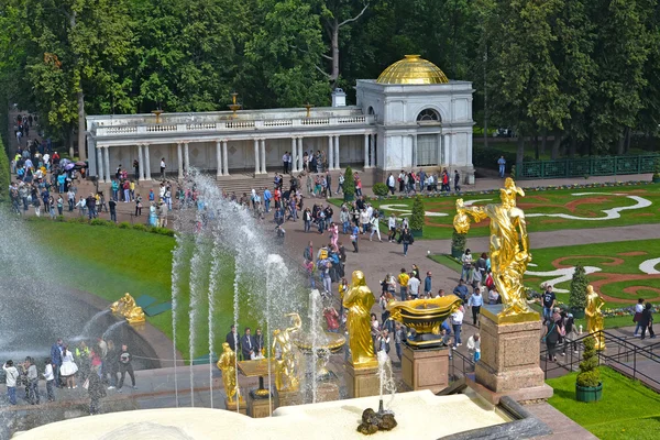 PETERHOF, RUSIA - 24 de julio de 2015: Una vista de la gran cascada y la columnata Voronikhinsky en el parque Nizhny —  Fotos de Stock